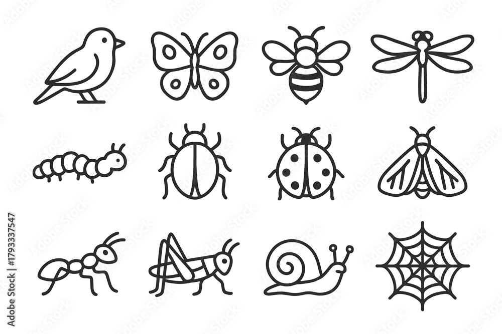 Fototapeta premium Icons ladybug beetle bee nature vector caterpillar moth collection dragonfly snail butterfly