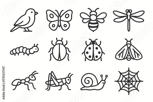 Icons ladybug beetle bee nature vector caterpillar moth collection dragonfly snail butterfly