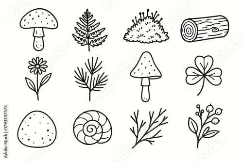 Stone grid shell vector twig log clover nature leaf wildflower icon sprig