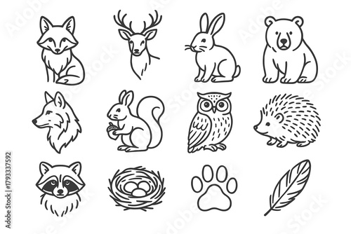 Grid icons deer nature paw icon vector feather wolf raccoon owl bear