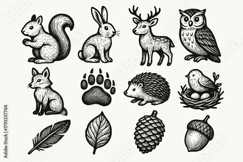 Squirrel rabbit deer hedgehog nest bird acorn camp icon vector pinecone outdoor