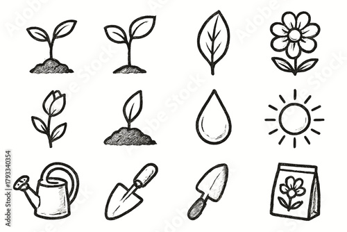 Trowel watering vector icon flower icons seed seedling bud garden sun bloom