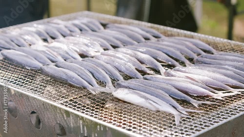Slow motion closeup showing fish grilling on barbecue rack with rising smoke in Fukuoka, Japan, highlighting golden color, texture, and heat of freshly cooked seafood