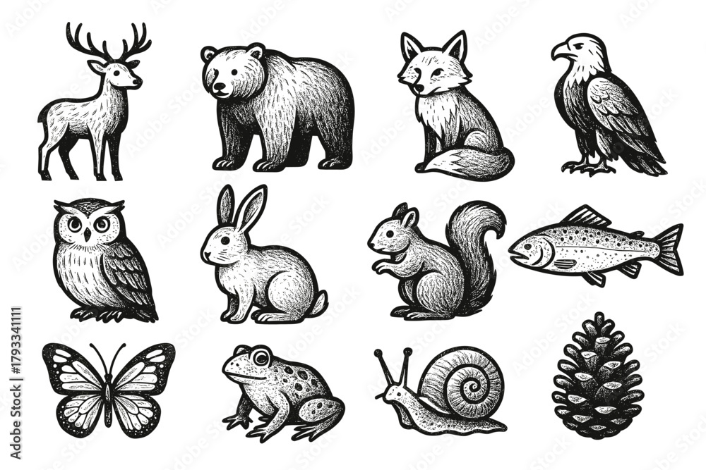 Obraz premium Icons butterfly mountain fox pinecone snail bear vector frog squirrel wildlife icon