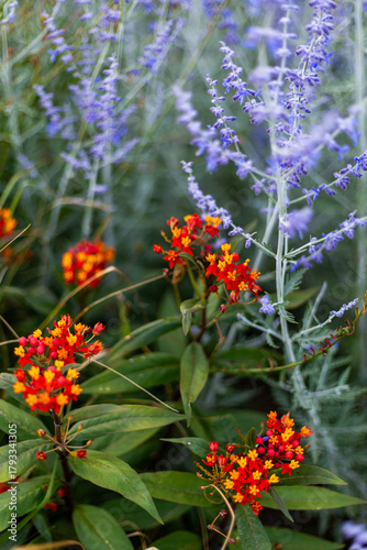 Flores combinadas anaranjadas, amarillas  y lilas