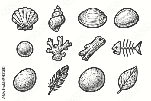 Spiral stone set vector sand flat seashells bone icon feather leaf cone