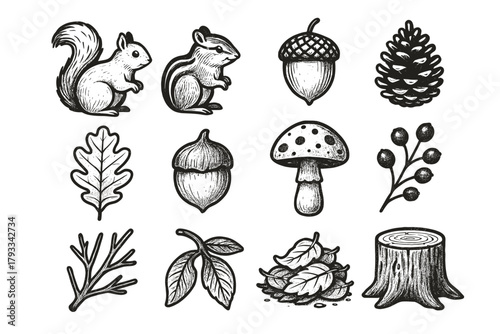 Woodland acorn leaf seed life icons berry vector pile icon pod squirrel