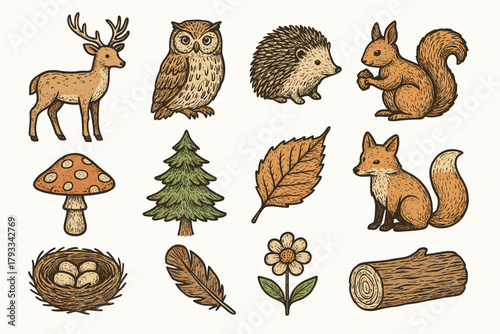 Icon owl vector squirrel woodland icons toadstool life nest deer fox leaf