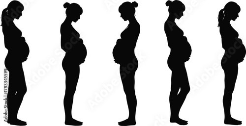 Pregnancy silhouette, maternity stages, female profile, baby bump growth, expecting mother, prenatal journey, motherhood evolution, maternal health, trimester change, woman side view