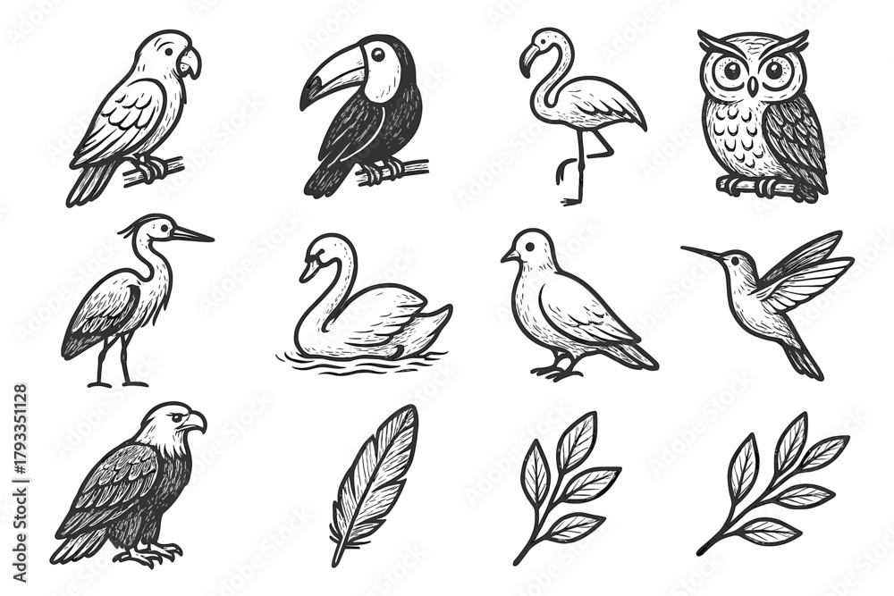 Obraz premium Flamingo dove branch owl toucan feather hummingbird swan icon bird exotic vector