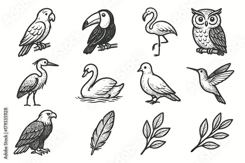 Flamingo dove branch owl toucan feather hummingbird swan icon bird exotic vector
