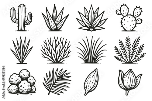 Icons grass palm plant seed icon leaf desert sand vector aloe prickly