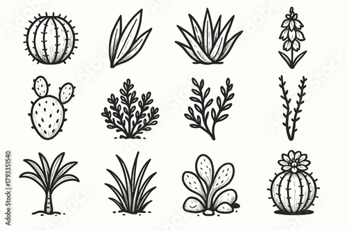 Aloe pear rock plant leaf flower palm desert vector shrub icon ocotillo