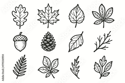 Icon cluster leaf set nature vector chestnut icons maple autumn twig grid