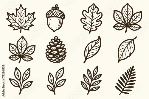 Autumn dried leaves seasonal vector sprig curled icon leaf acorn birch small
