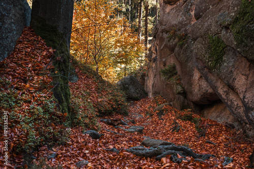 Fototapeta Naklejka Na Ścianę i Meble -  Natura, las, góry, drzewa, krajobraz, jesienią, drzew, skały, Polska, Krajobraz, Jesień, Dolny śląsk, 