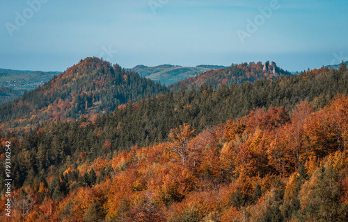 Fototapeta Naklejka Na Ścianę i Meble -  Natura, las, góry, drzewa, krajobraz, jesienią, drzew, skały, Polska, Krajobraz, Jesień, Dolny śląsk, 