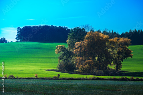 Fototapeta Naklejka Na Ścianę i Meble -  Natura, las, góry, drzewa, krajobraz, jesienią, drzew, skały, Polska, Krajobraz, Jesień, Dolny śląsk, 