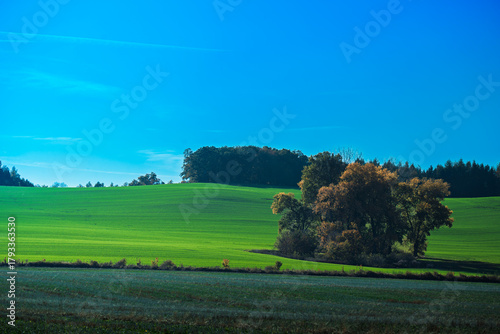 Fototapeta Naklejka Na Ścianę i Meble -  Natura, las, góry, drzewa, krajobraz, jesienią, drzew, skały, Polska, Krajobraz, Jesień, Dolny śląsk, 