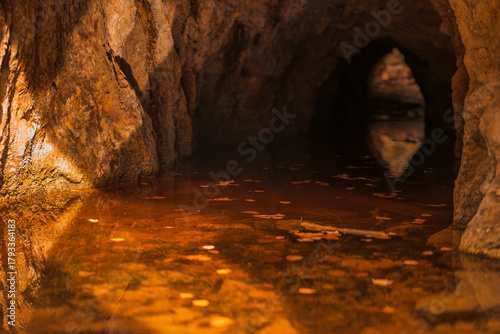 Fototapeta Naklejka Na Ścianę i Meble -  Natura, las, góry, drzewa, krajobraz, jesienią, drzew, skały, Polska, Krajobraz, Jesień, Dolny śląsk, 