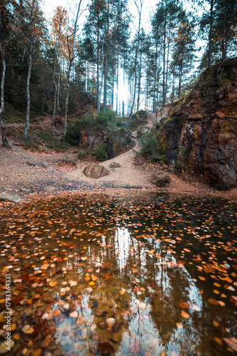 Fototapeta Naklejka Na Ścianę i Meble -  Natura, las, góry, drzewa, krajobraz, jesienią, drzew, skały, Polska, Krajobraz, Jesień, Dolny śląsk, 