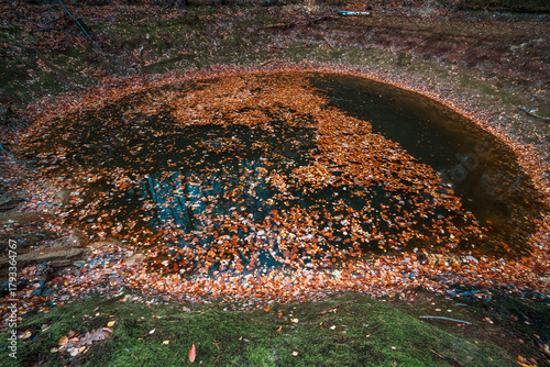 Fototapeta Naklejka Na Ścianę i Meble -  Natura, las, góry, drzewa, krajobraz, jesienią, drzew, skały, Polska, Krajobraz, Jesień, Dolny śląsk, 