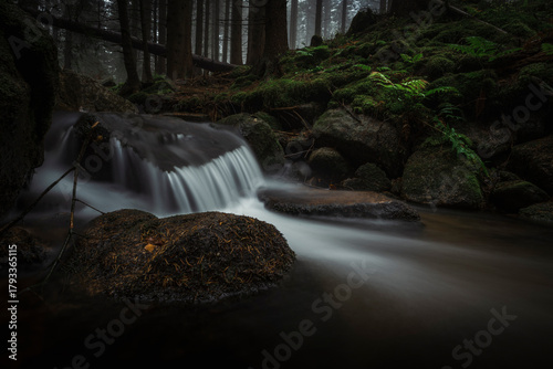 Fototapeta Naklejka Na Ścianę i Meble -  Natura, las, góry, drzewa, krajobraz, jesienią, drzew, skały, Polska, Krajobraz, Jesień, Dolny śląsk, 