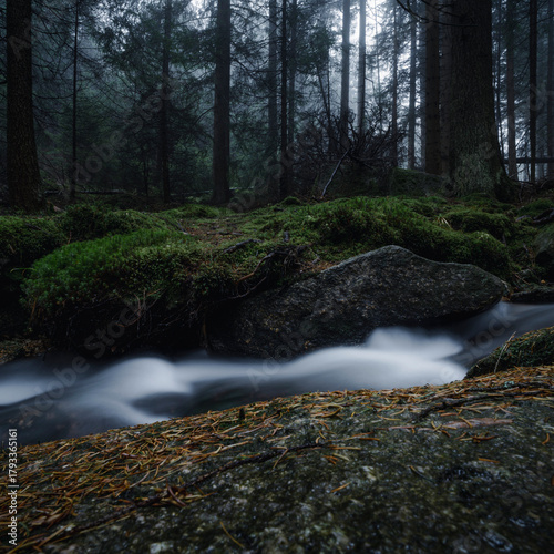 Fototapeta Naklejka Na Ścianę i Meble -  Natura, las, góry, drzewa, krajobraz, jesienią, drzew, skały, Polska, Krajobraz, Jesień, Dolny śląsk, 