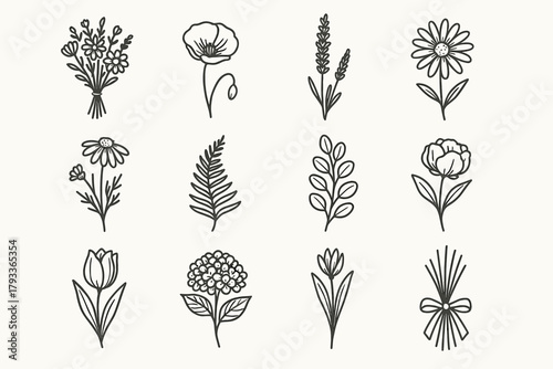 Floral chamomile fern vector poppy tulip collection hydrangea bunch daisy lavender icon