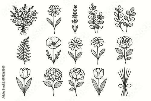 Chamomile rustic lavender set bunch floral peony daisy vector icon eucalyptus bouquet