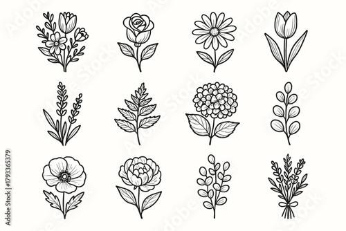 Bouquet floral poppy daisy vector bloom garden icon set tied lavender fern