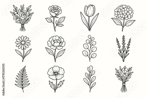 Icon tied floral leaf collection peony fern vector set hydrangea daisy lavender