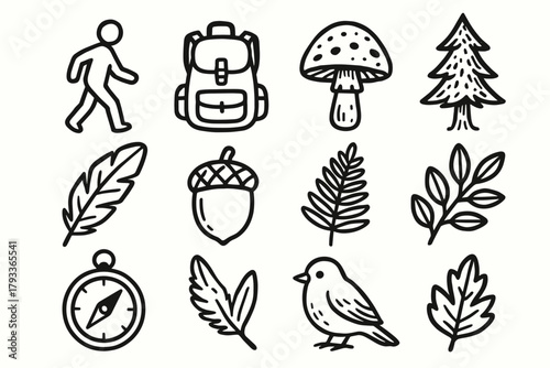 Icon nature branch forest compass bird fern stroll vector walk feather tree