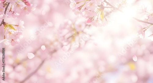 Wallpaper Mural Beautiful soft pink cherry blossom background art Torontodigital.ca