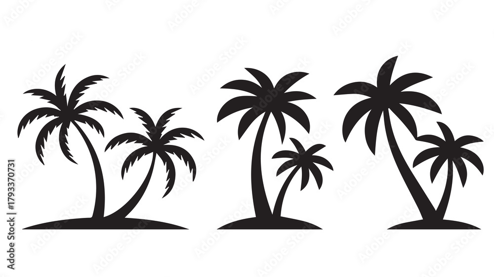 Fototapeta premium tropical coconut, palm tree silhouette