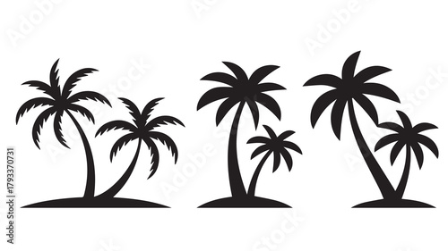 tropical coconut, palm tree silhouette