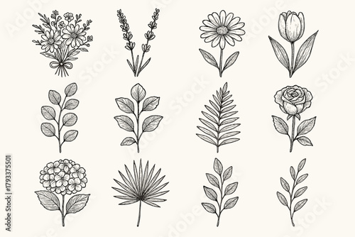 Flower rustic floral hydrangea palm icon set branch leaf eucalyptus mix vector