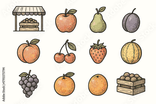 Fruit plum local strawberry icons melon market vector apple harvest pear icon