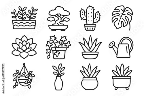 Plant hanging ceramic icon cactus ivy vector collection aloe bonsai decorative leaf