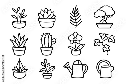 Pot fern icon bonsai collection greenery watering vector planter plant can orchid