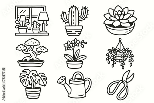 Vector cozy vase decor orchid icon plant cactus basket bonsai succulent