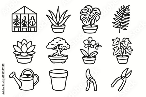Ivy icon modern plants pruning vector bonsai can succulent plant orchid aloe