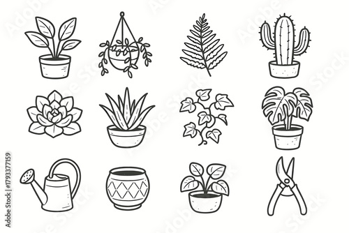 Monstera home cactus set succulent vera tool pruning plant watering icon vector