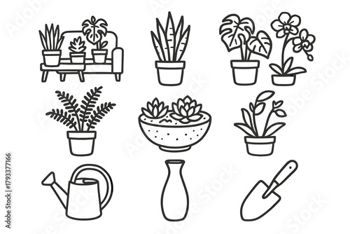 Cactus scoop plants icon set fern succulent snake room vector plant