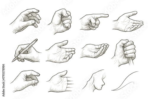 Palm gesture study icon realistic fist line vector sketch writing hand up