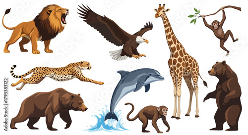 Majestic wildlife collection showcasing diverse animals in dynamic poses, perfect for educational and commercial use.