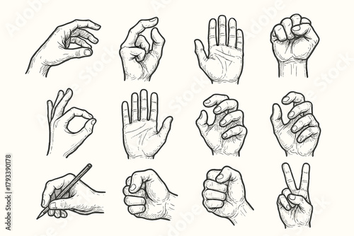 Writing sign grasp peace pinch sketch vector gestures icon pose hand anatomy