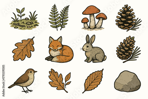 Rabbit bird woodland floor leaves forest mushrooms vector set fallen pinecones icon