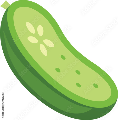 A green cucumber of vector art