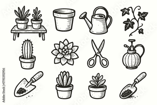 Mister icon succulent scoop plant home cozy ivy cactus vector